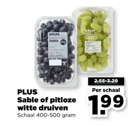 PLUS PLUS Sable of pitloze witte druiven aanbieding