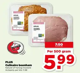 PLUS PLUS Culinaire beenham aanbieding