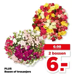 PLUS PLUS Rozen of trosanjers aanbieding