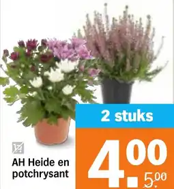 Albert Heijn AH Heide en potchrysant aanbieding