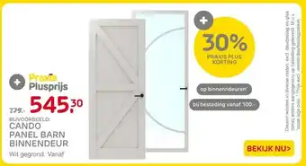 Praxis BIJVOORBEELD: CANDO PANEL BARN BINNENDEUR aanbieding