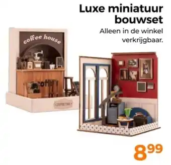 Trekpleister Luxe Miniatuur Bouwset aanbieding
