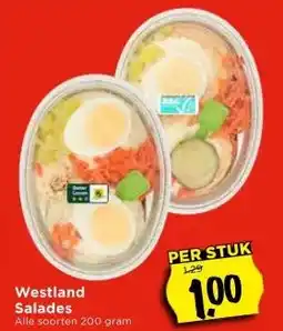 Vomar Voordeelmarkt Westland Salades aanbieding