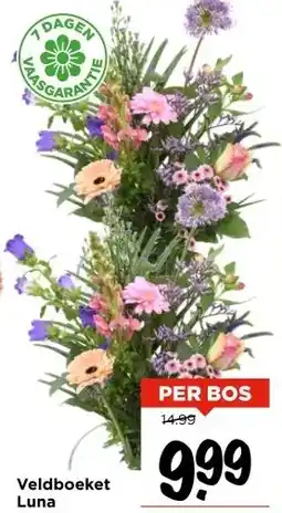Vomar Voordeelmarkt Veldboeket Luna aanbieding