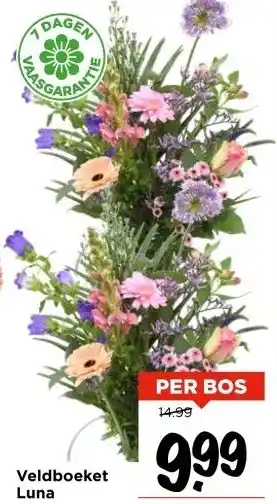 Vomar Voordeelmarkt Veldboeket Luna aanbieding