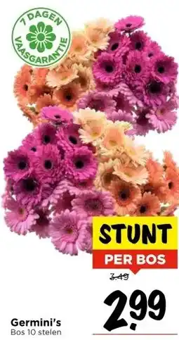 Vomar Voordeelmarkt Germini's aanbieding