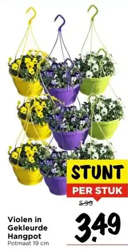 Vomar Voordeelmarkt Violen in Gekleurde Hangpot aanbieding