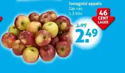 Hoogvliet Jonagold appels aanbieding