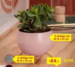 Lidl Metalen bloempotten aanbieding