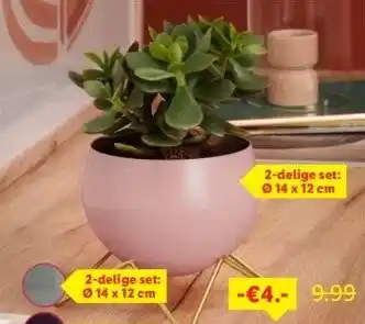 Lidl Metalen bloempotten aanbieding