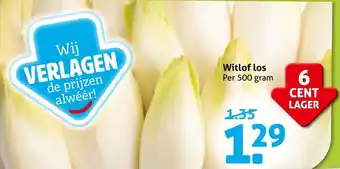 Hoogvliet Witlof los aanbieding