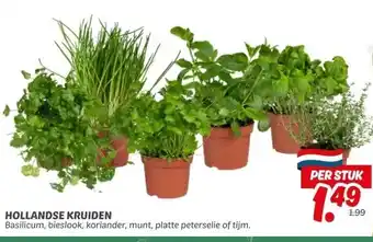 Dekamarkt HOLLANDSE KRUIDEN aanbieding