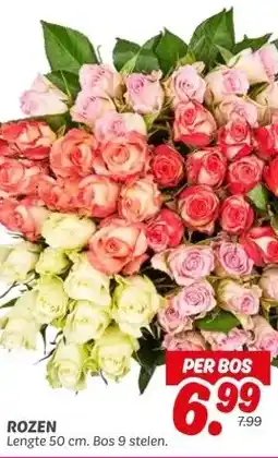 Dekamarkt ROZEN aanbieding