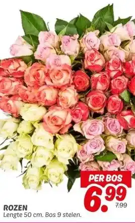 Dekamarkt ROZEN aanbieding