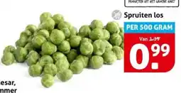 Hoogvliet Spruiten los aanbieding