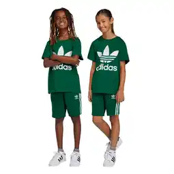 Foot Locker Adidas Adicolor 3-stripes Broeken Kinder - Groen - Maat 147 - 152 CM aanbieding