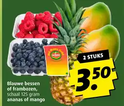 Boni Blauwe bessen of frambozen aanbieding