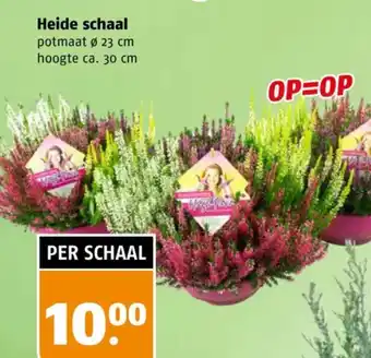 Poiesz Heide schaal aanbieding