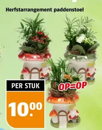 Poiesz Herfstarrangement paddenstoel aanbieding