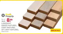Praxis LAMINAAT GRACE NATUREL, COSY NATUREL OF LIGHT NATUREL aanbieding