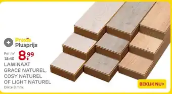 Praxis LAMINAAT GRACE NATUREL, COSY NATUREL OF LIGHT NATUREL aanbieding