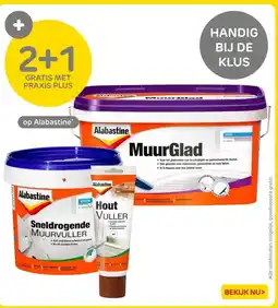 Praxis Alabastine aanbieding