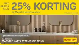 Praxis MAESTRO LATT LATTENWAND NOVO aanbieding