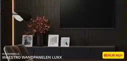Praxis MAESTRO WANDPANELEN LUXX aanbieding