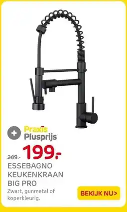 Praxis ESSEBAGNO KEUKENKRAAN BIG PRO aanbieding