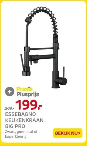 Praxis ESSEBAGNO KEUKENKRAAN BIG PRO aanbieding