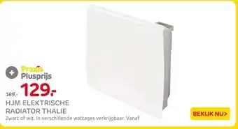 Praxis HJM ELEKTRISCHE RADIATOR THALIE aanbieding