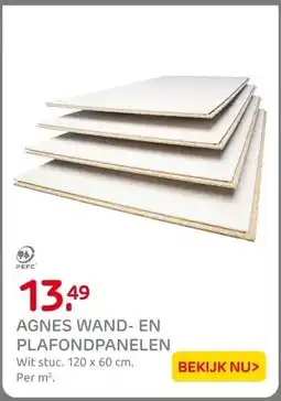Praxis AGNES WAND- EN PLAFONDPANELEN aanbieding
