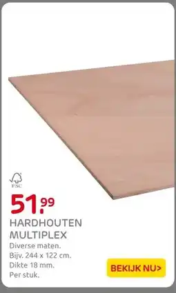 Praxis HARDHOUTEN MULTIPLEX aanbieding