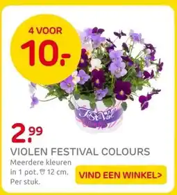 Praxis VIOLEN FESTIVAL COLOURS aanbieding