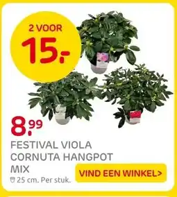 Praxis FESTIVAL VIOLA CORNUTA HANGPOT MIX aanbieding