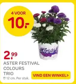 Praxis ASTER FESTIVAL COLOURS TRIO aanbieding