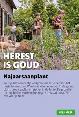 Intratuin Najaarsaanplant aanbieding