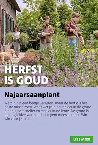 Intratuin Najaarsaanplant aanbieding