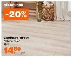 Kwantum Laminaat Forest aanbieding