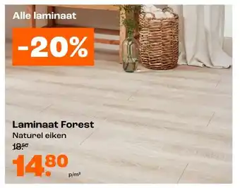 Kwantum Laminaat Forest aanbieding