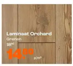 Kwantum Laminaat Orchard Grenen aanbieding