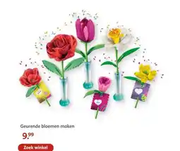 Bruna Geurende bloemen maken aanbieding