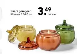 Blokker Kaars pompoen aanbieding