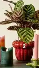 Blokker Bloempot eikel aanbieding