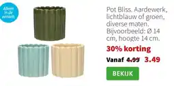 Intratuin Pot Bliss aanbieding