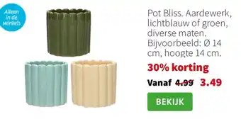 Intratuin Pot Bliss aanbieding