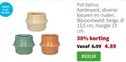 Intratuin Pot Valino aanbieding