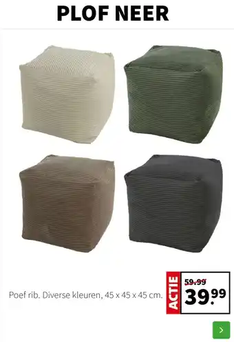 Intratuin Poef rib. Diverse kleuren aanbieding