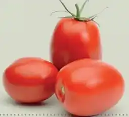 Ekoplaza ROMA TOMATEN aanbieding