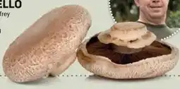 Ekoplaza Puur NL PORTOBELLO aanbieding